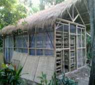 Jasa Pembuatan Instalasi Kumbung Jamur