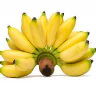 pisang lemak manis