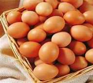 Telur Ayam Boiler